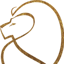 Fundraising Page: Harper, Evans Wade & Netemeyer